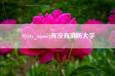济南有没有消防大学