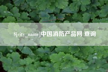 济南中国消防产品网 查询