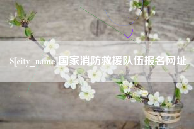 济南国家消防救援队伍报名网址
