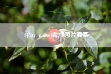济南金牌图片真实