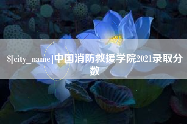 济南中国消防救援学院2021录取分数