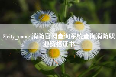 济南消防官网查询系统查询消防职业资格证书
