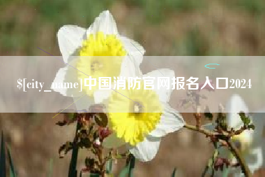 济南中国消防官网报名入口2024
