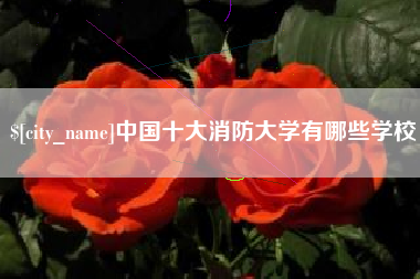 济南中国十大消防大学有哪些学校