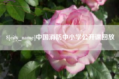济南中国消防中小学公开课回放