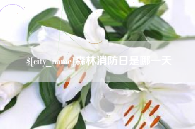 济南森林消防日是哪一天