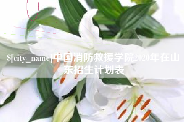 济南中国消防救援学院2020年在山东招生计划表