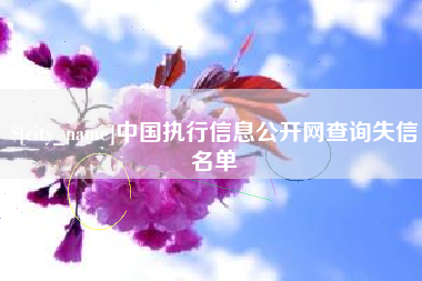 济南中国执行信息公开网查询失信名单
