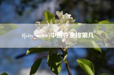 济南中国夺金排第几
