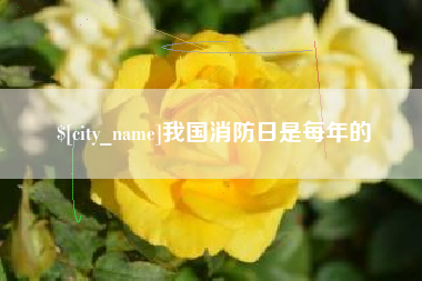 济南我国消防日是每年的