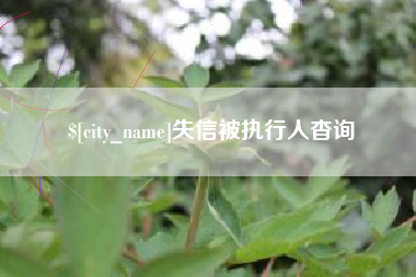 济南失信被执行人杳询