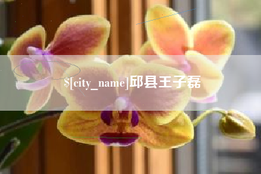 济南邱县王子磊