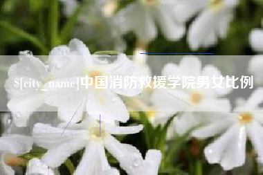 济南中国消防救援学院男女比例