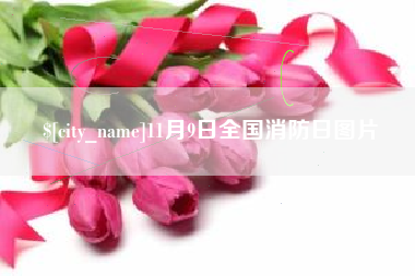 济南11月9日全国消防日图片