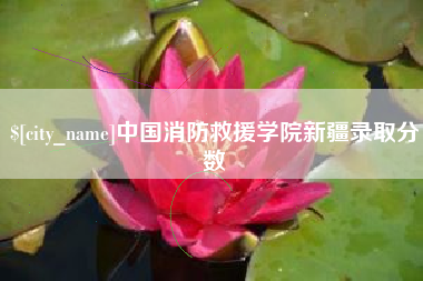 济南中国消防救援学院新疆录取分数