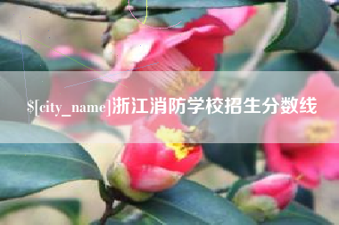 济南浙江消防学校招生分数线