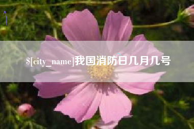 济南我国消防日几月几号