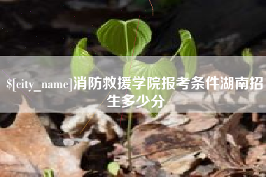 济南消防救援学院报考条件湖南招生多少分