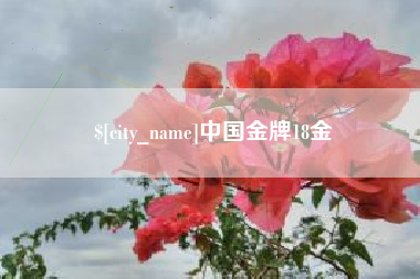 济南中国金牌18金