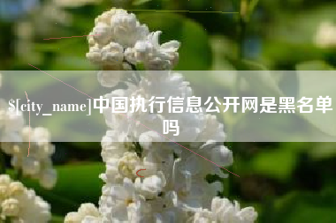 济南中国执行信息公开网是黑名单吗