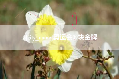 济南奥运会39块金牌