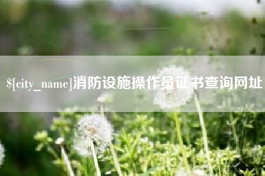 济南消防设施操作员证书查询网址