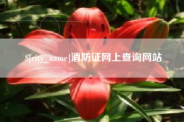 济南消防证网上查询网站