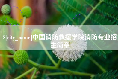 济南中国消防救援学院消防专业招生简章