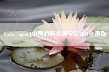 济南中国消防救援学院2021年录取