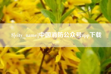 济南中国消防公众号app下载