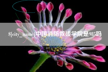 济南中国消防救援学院是985吗