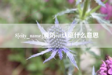 济南消防ccc认证什么意思