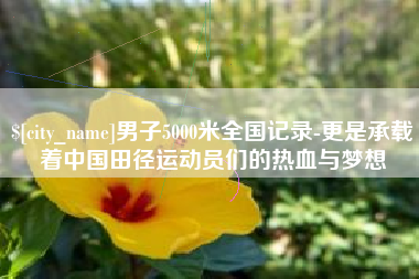 济南男子5000米全国记录-更是承载着中国田径运动员们的热血与梦想