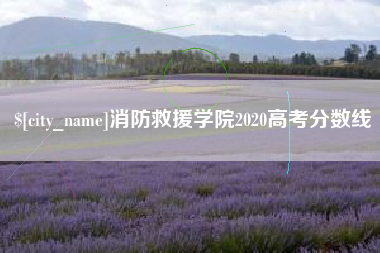 济南消防救援学院2020高考分数线