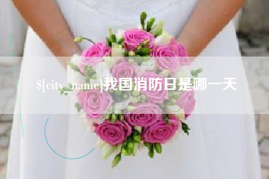 济南我国消防日是哪一天