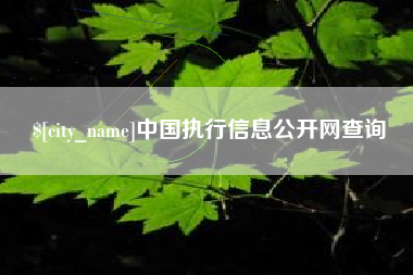 济南中国执行信息公开网查询