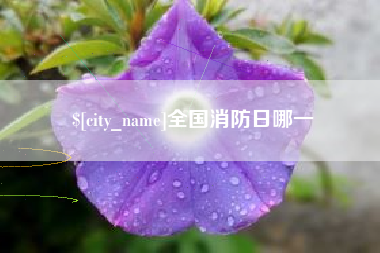 济南全国消防日哪一