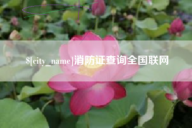 济南消防证查询全国联网