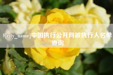 济南中国执行公开网被执行人名单查询