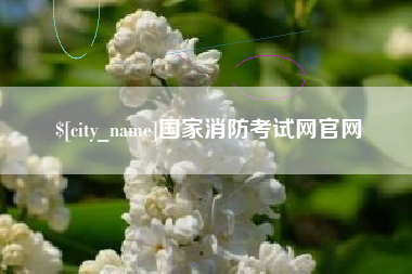 济南国家消防考试网官网