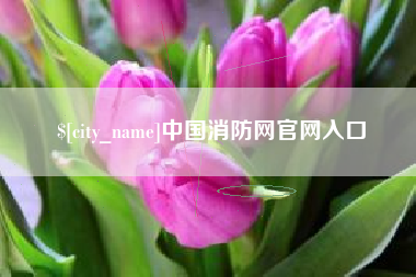 济南中国消防网官网入口