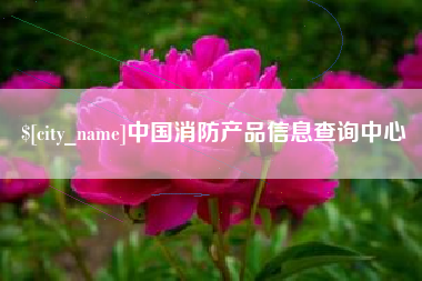 济南中国消防产品信息查询中心
