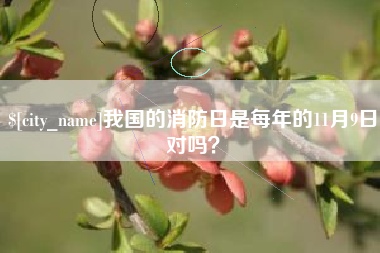 济南我国的消防日是每年的11月9日对吗？