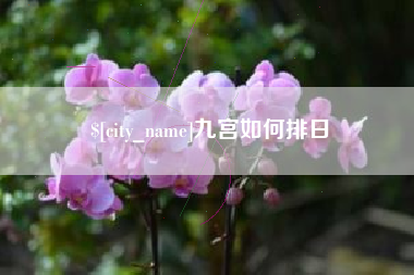 济南九宫如何排日