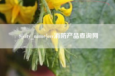 济南ccc消防产品查询网