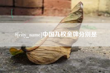 济南中国九枚金牌分别是