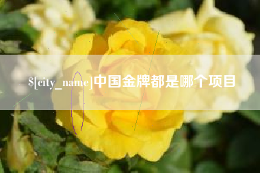 济南中国金牌都是哪个项目
