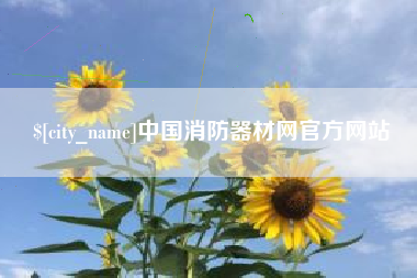 济南中国消防器材网官方网站
