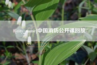 济南中国消防公开课回放