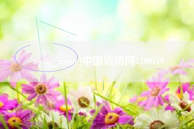 济南中国消防网1190119